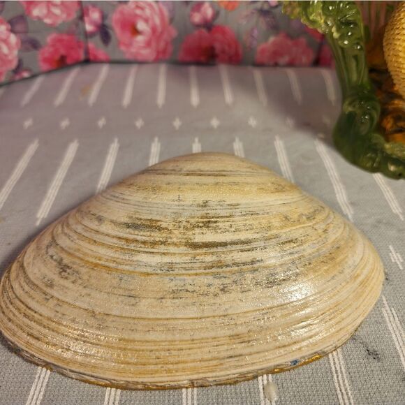 DECOUPAGE CLAM SHELL DECOUPAGE BLUE FLOWERS ON A CLAM SHELL TRINKET DISH - Picture 10 of 11